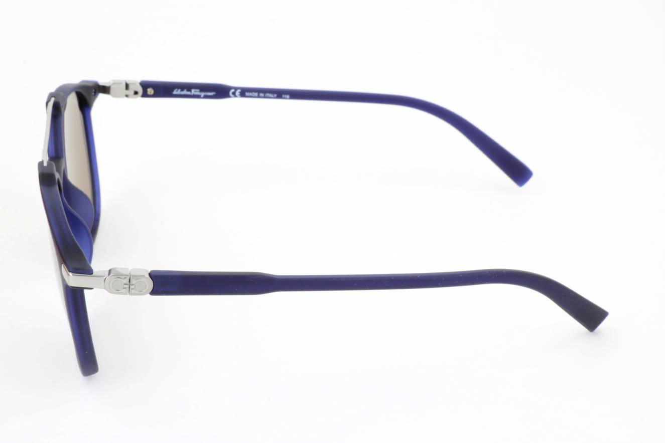 Ferragamo Sun SF893S