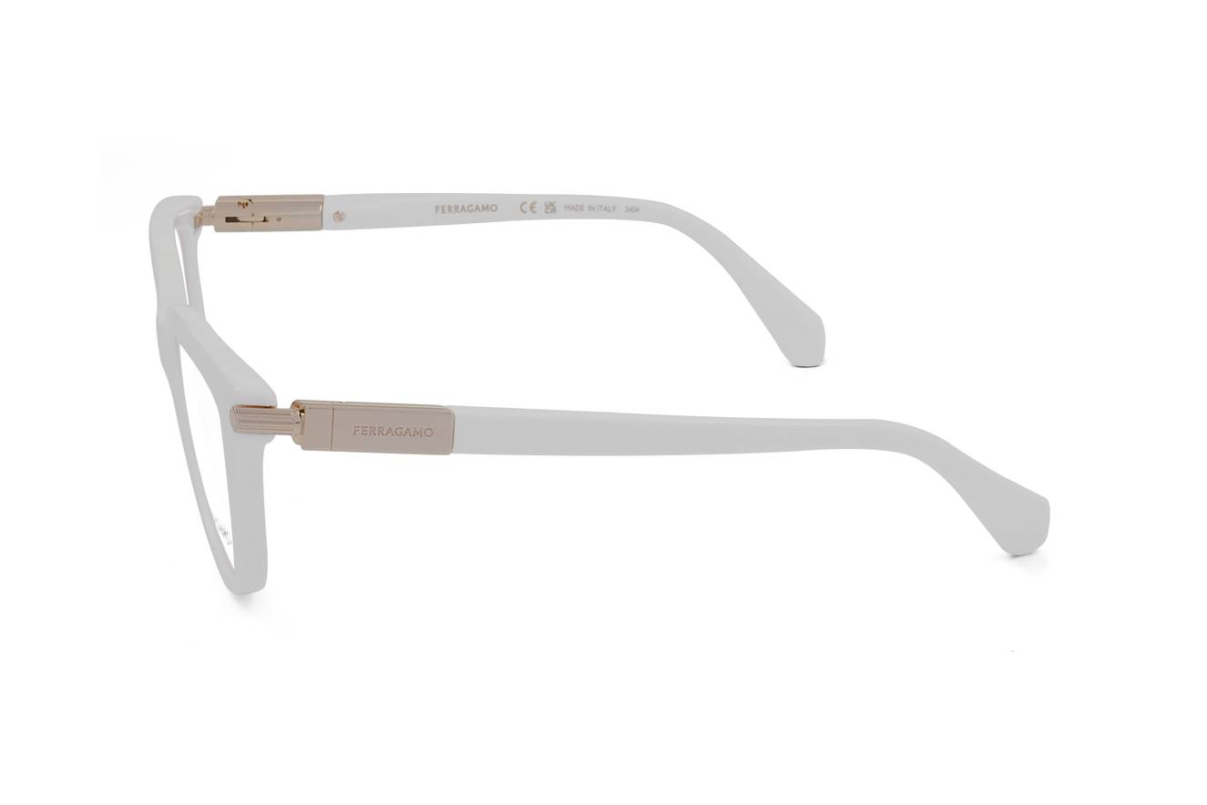 Ferragamo FRAME SF2974 103