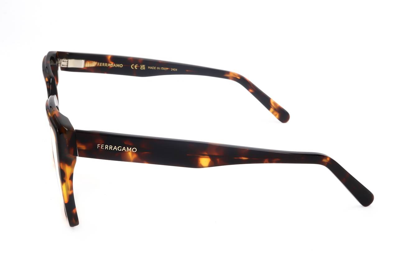 Ferragamo FRAME SF2950N 219