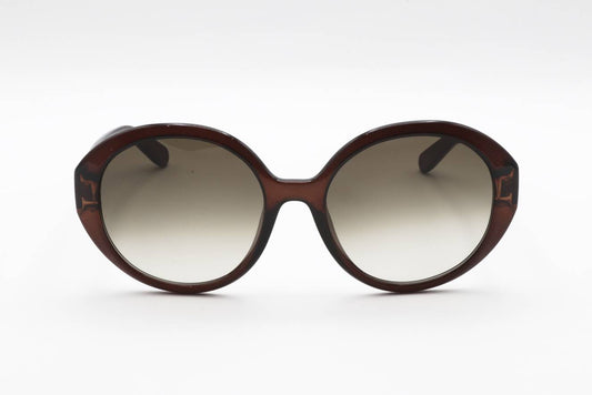 Ferragamo Crystal Brown Sunglasses – Model SF1067S 210