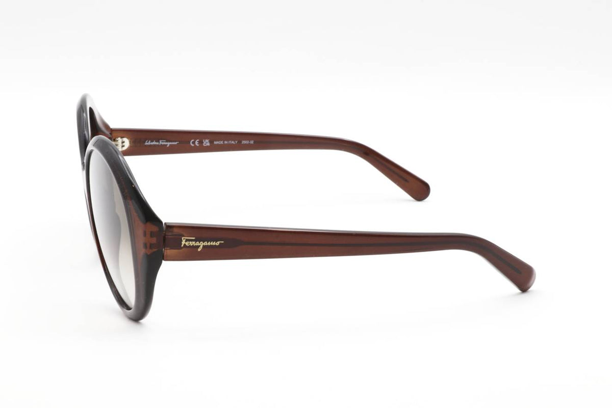 Ferragamo Crystal Brown Sunglasses – Model SF1067S 210