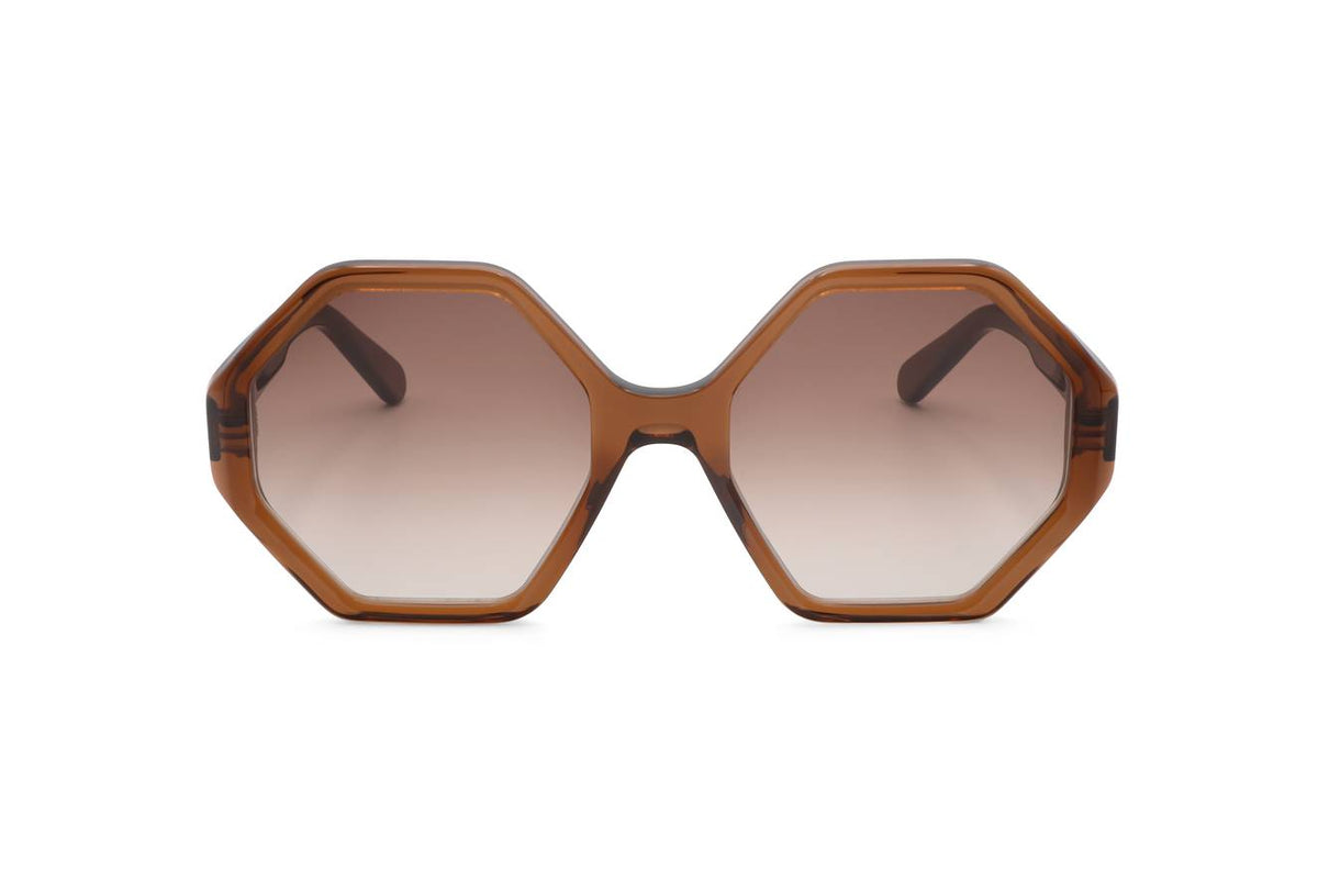 Ferragamo Crystal Brown Sunglasses – Model SF1070S 210