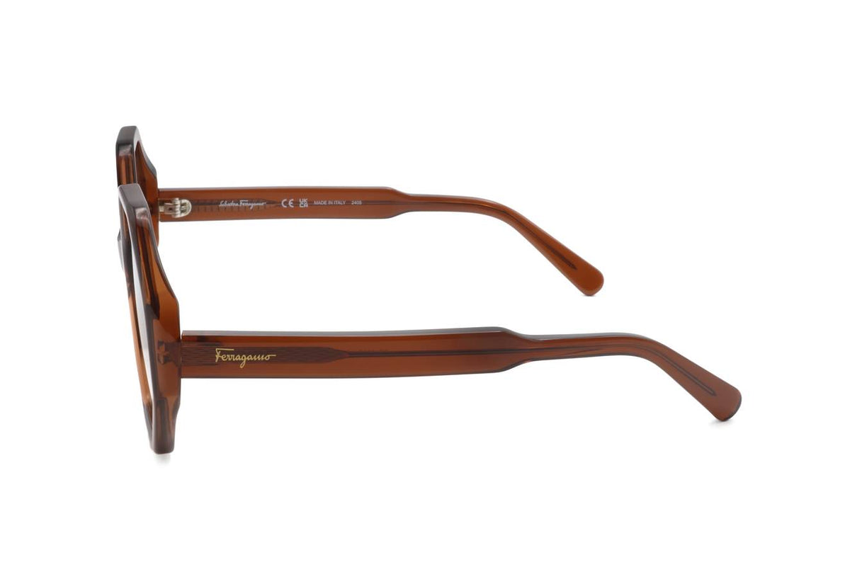 Ferragamo Crystal Brown Sunglasses – Model SF1070S 210