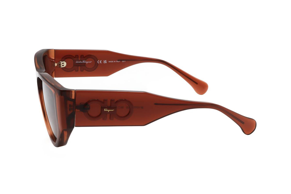 Ferragamo Transparent Brown Sunglasses Model SF1077S 232