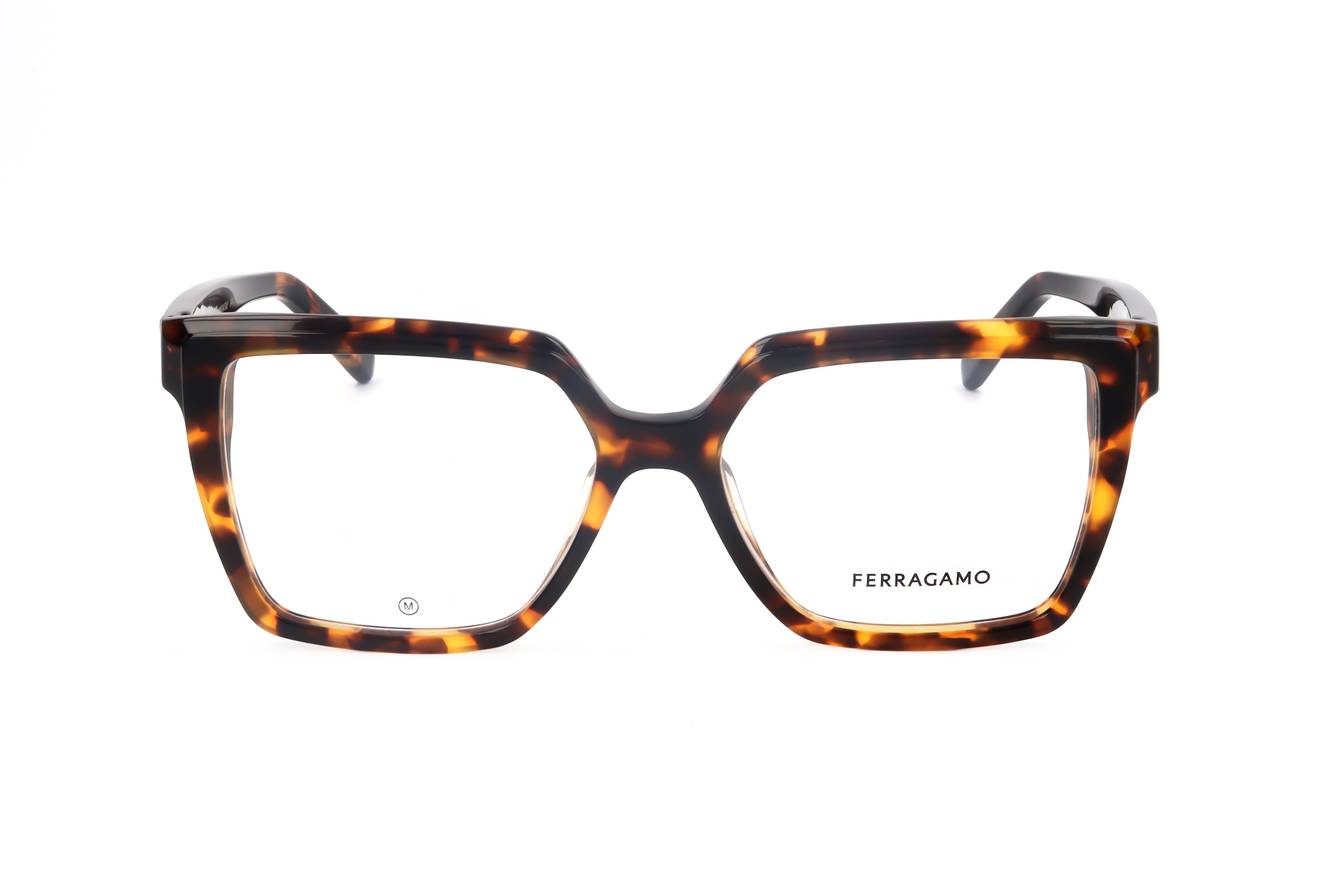 Ferragamo FRAME SF2950N 219